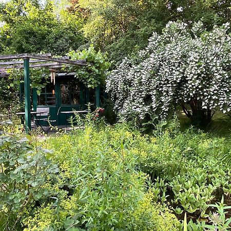 Design Ferienwohnung Mit Bauerngarten Waldkirchen Buitenkant foto
