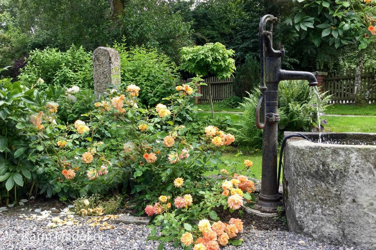 Design Ferienwohnung Mit Bauerngarten Waldkirchen Buitenkant foto