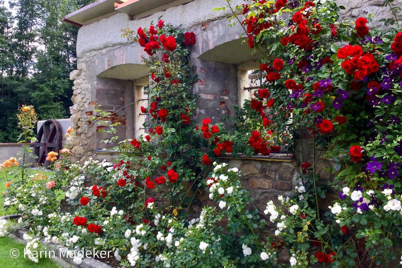 Design Ferienwohnung Mit Bauerngarten Waldkirchen Buitenkant foto