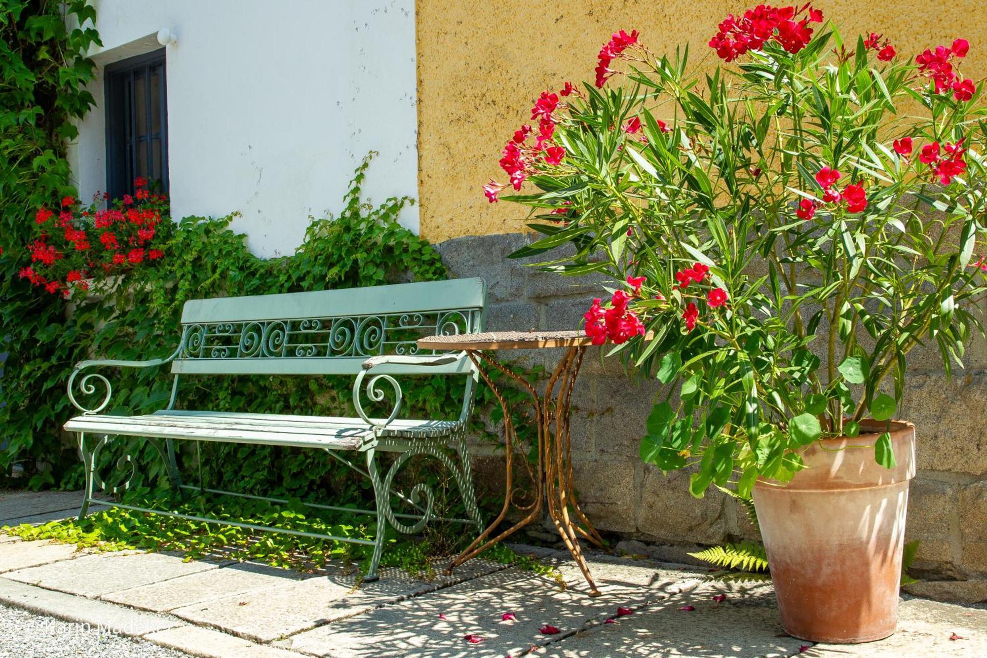 Design Ferienwohnung Mit Bauerngarten Waldkirchen Buitenkant foto