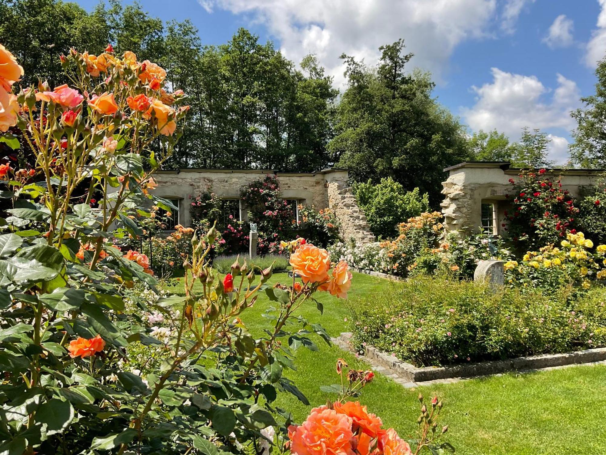 Design Ferienwohnung Mit Bauerngarten Waldkirchen Buitenkant foto