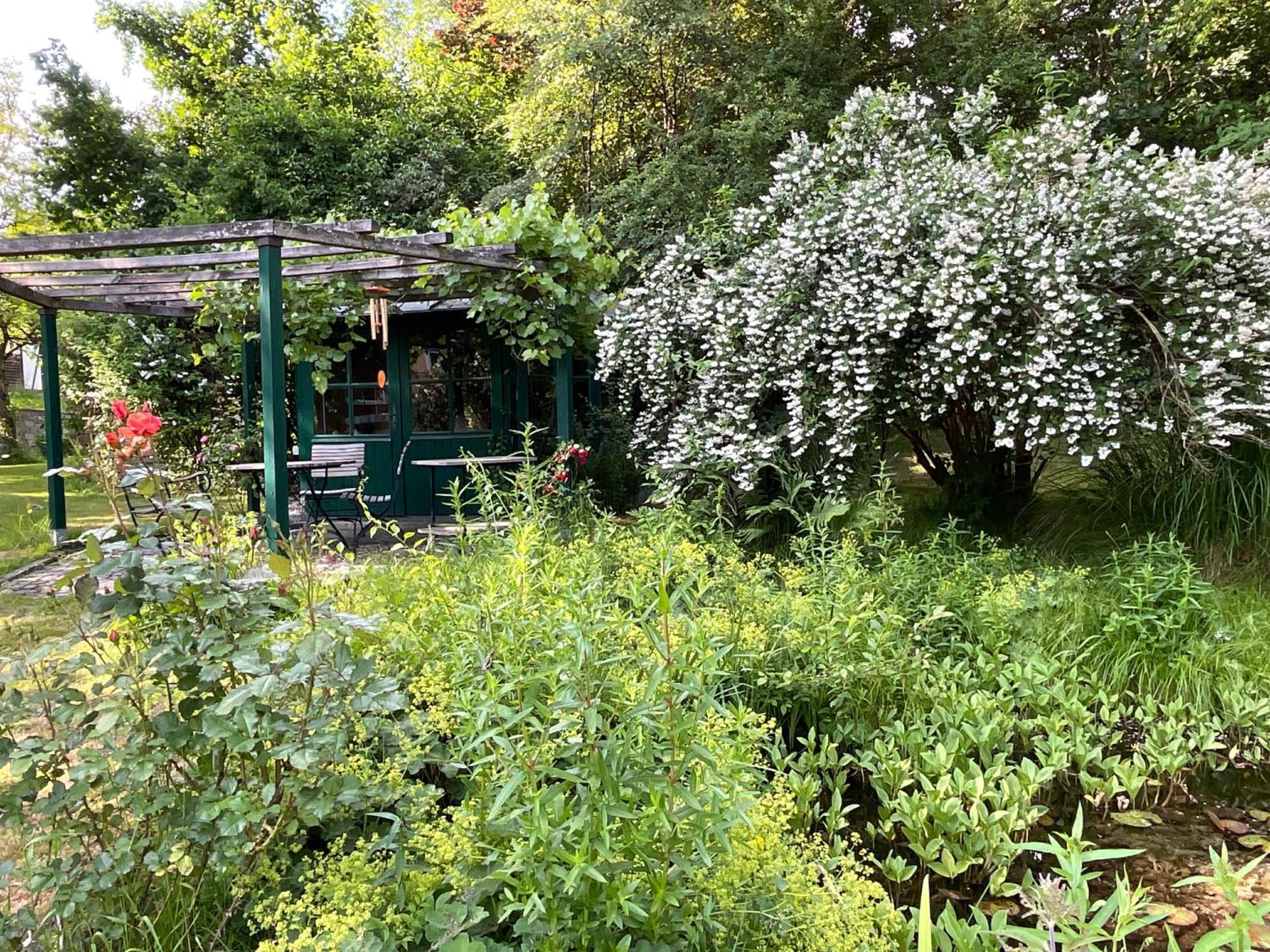 Design Ferienwohnung Mit Bauerngarten Waldkirchen Buitenkant foto