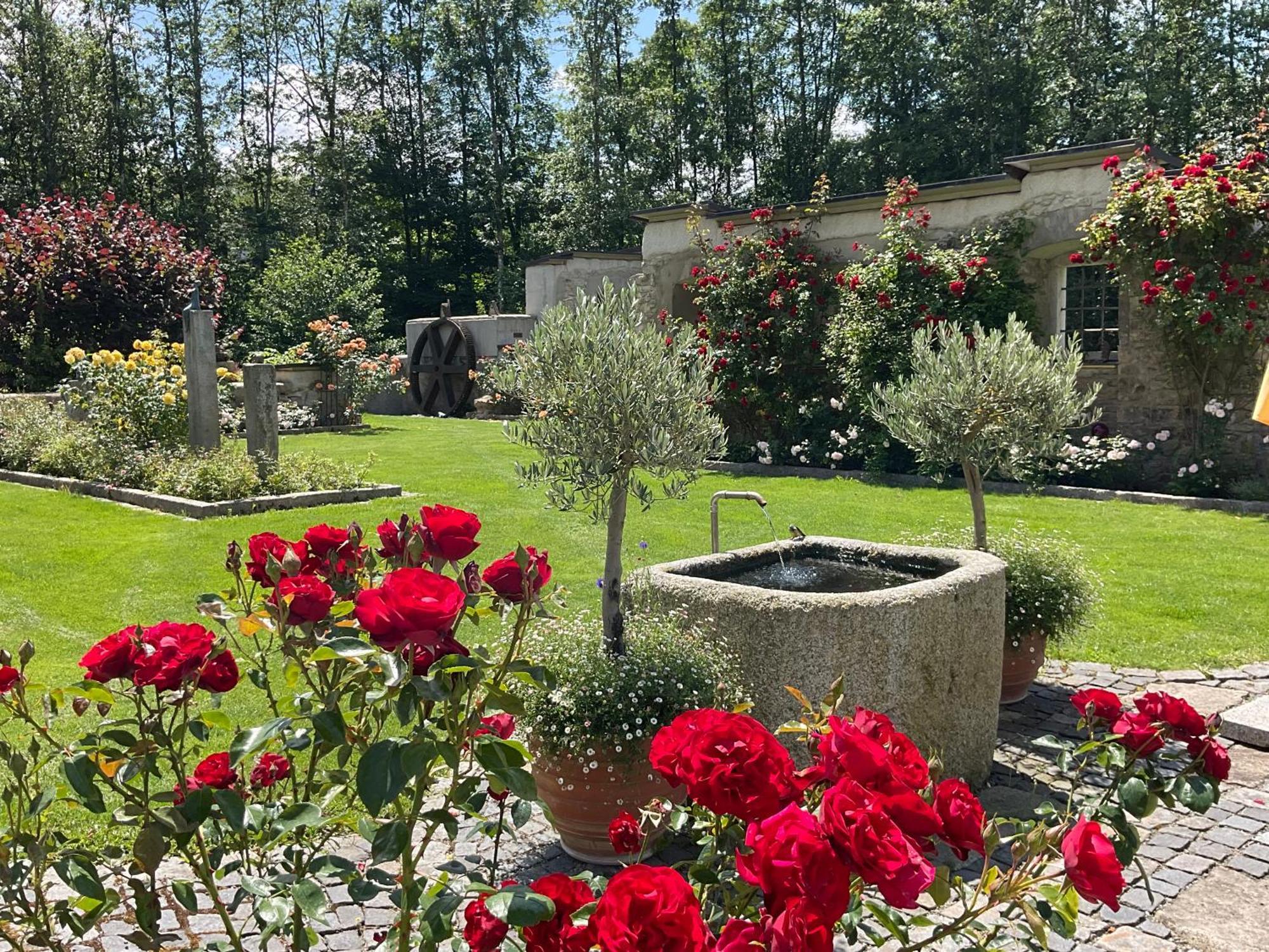 Design Ferienwohnung Mit Bauerngarten Waldkirchen Buitenkant foto
