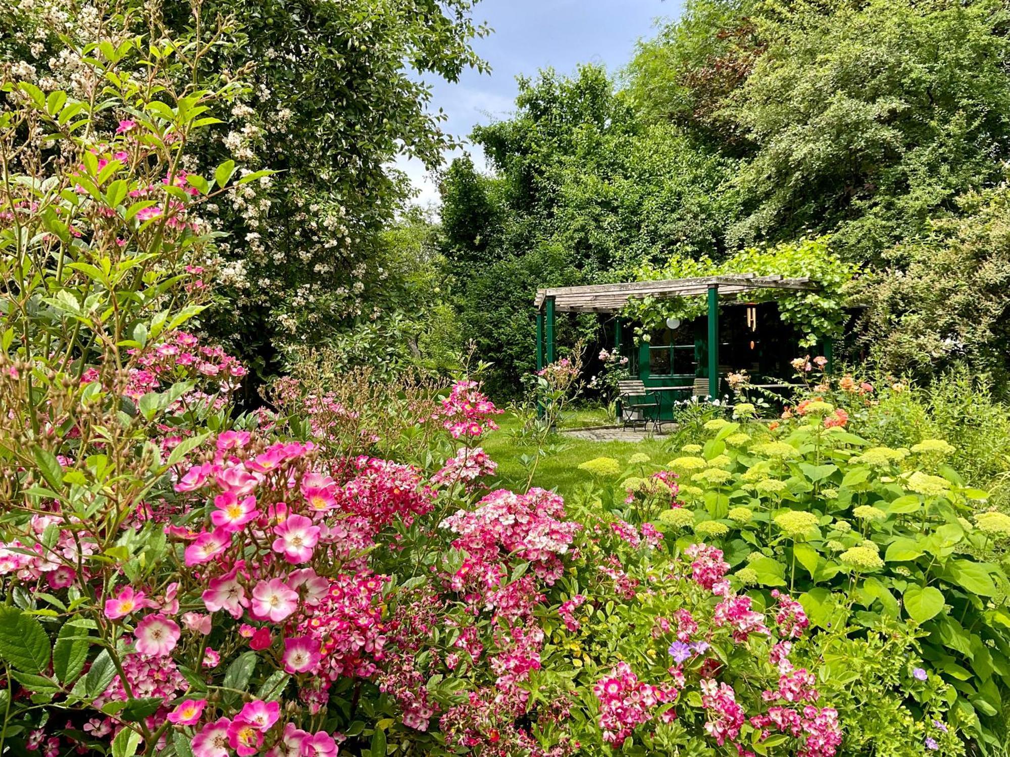 Design Ferienwohnung Mit Bauerngarten Waldkirchen Buitenkant foto
